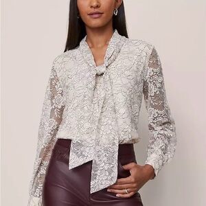 NWT Ann Taylor Ivory Floral Lace Tie-Neck Blouse